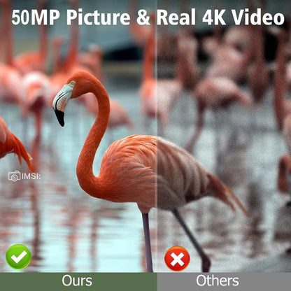 CAMÉRA SOLAIRE FULL HD 4K VISION NOCTURNE - SPORT & CHASSE