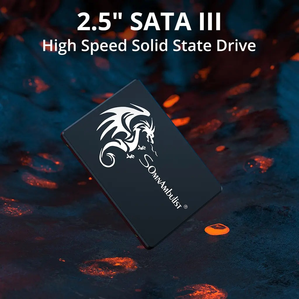 SSD INTERNE 120GB À 2TB SATA3 POUR PC, ORDINATEUR